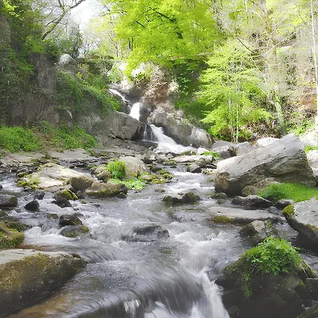 A Avec Jacuzzi - 42 M² Διαμέρισμα *