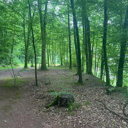 A Avec Jacuzzi - 42 M² Διαμέρισμα La Ferriere-aux-Etangs